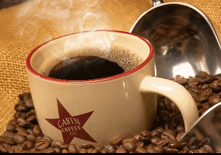 cabin coffee mug