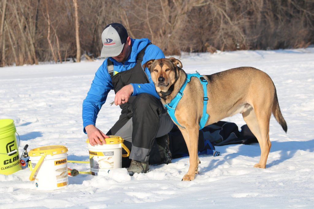 Five Pet-Friendly Adventures in the La Crosse Region