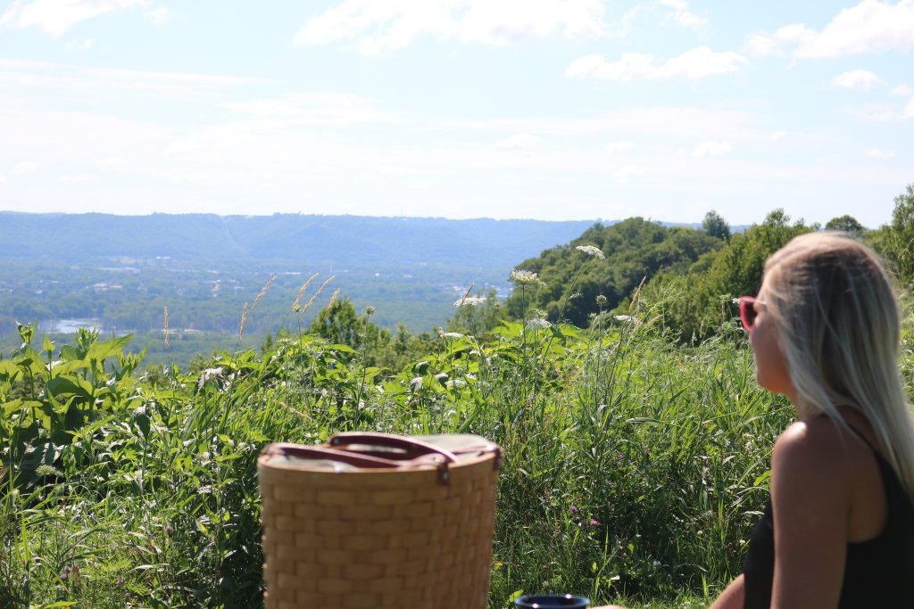 Woman looking out at the Apple Blossoms Scenic Overlook