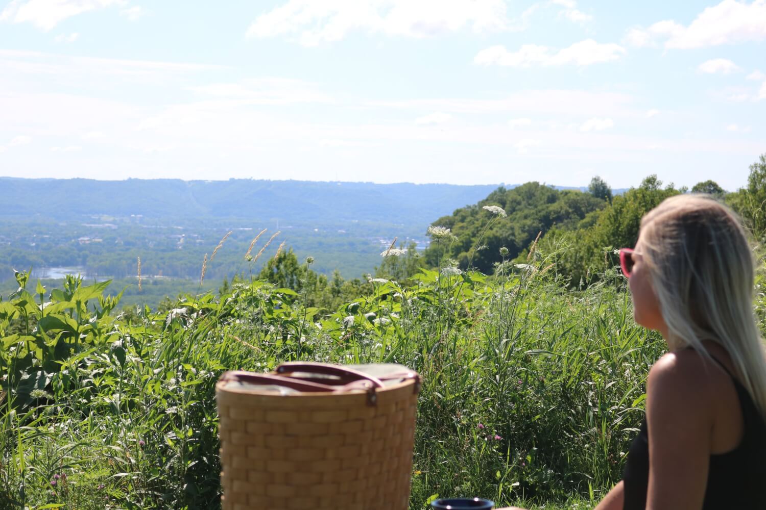 Apple Blossom Scenic Drive Woman looking out at the Apple Blossoms Scenic Overlook