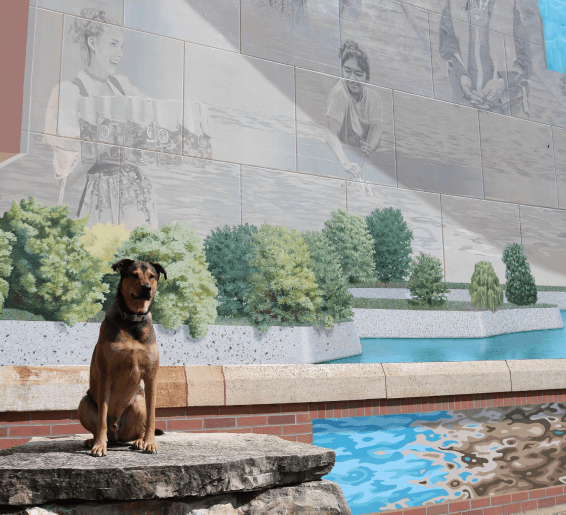 Five Pet-Friendly Adventures in the La Crosse Region