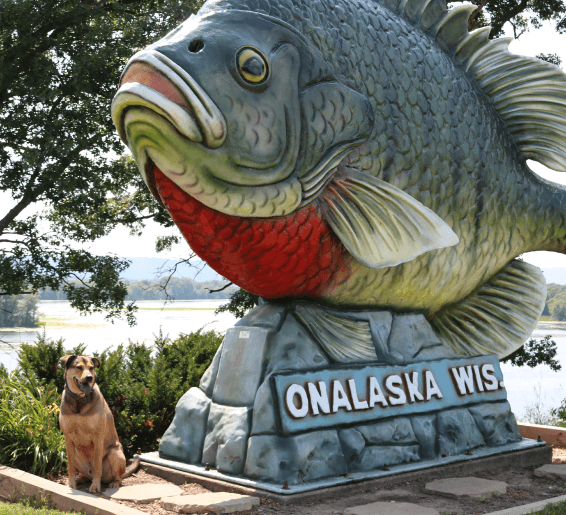Five Pet-Friendly Adventures in the La Crosse Region