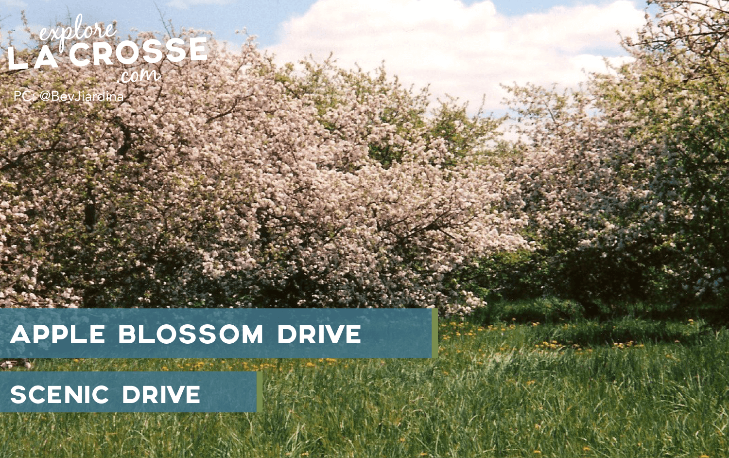 apple-blossom-scenic-drive-la-crescent-blog