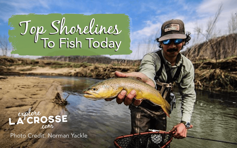 Top Shorelines to Fish Today