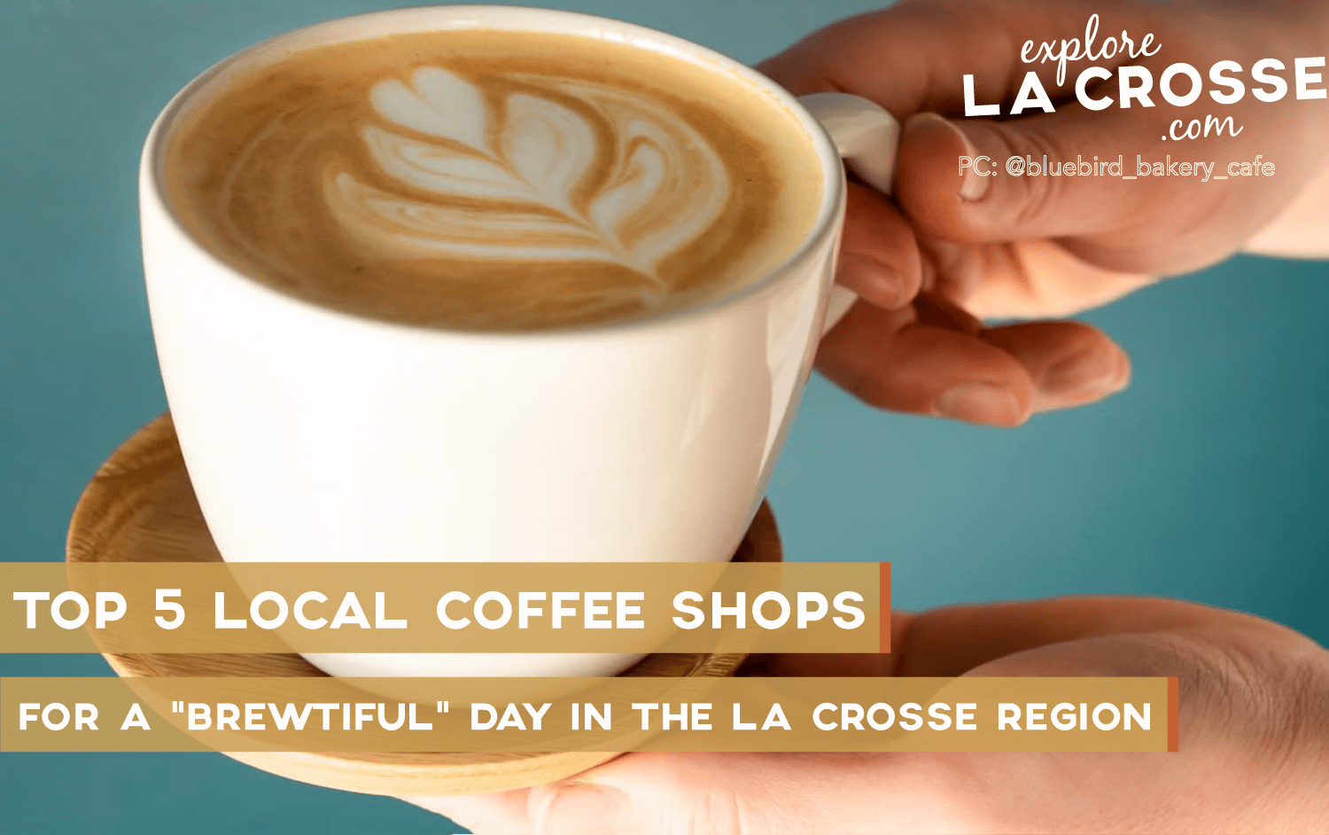 Top 5 Local Coffee Shops For A 