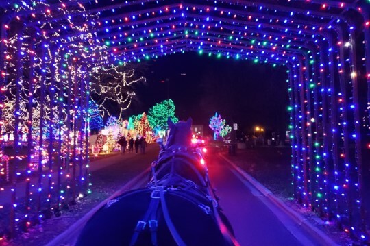 Carriage Ride