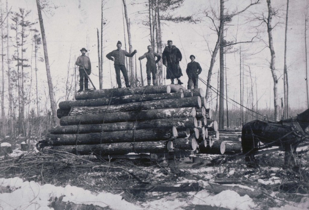 1892 Aiken lumbering team 1 1536x1041 1