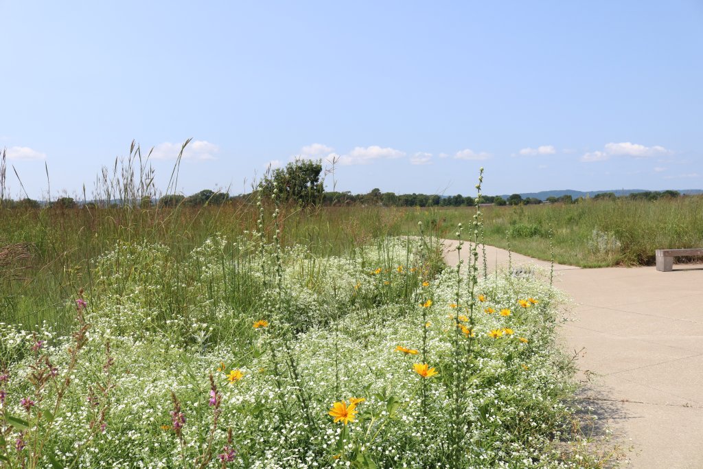 Natural Wonders Of The La Crosse Region