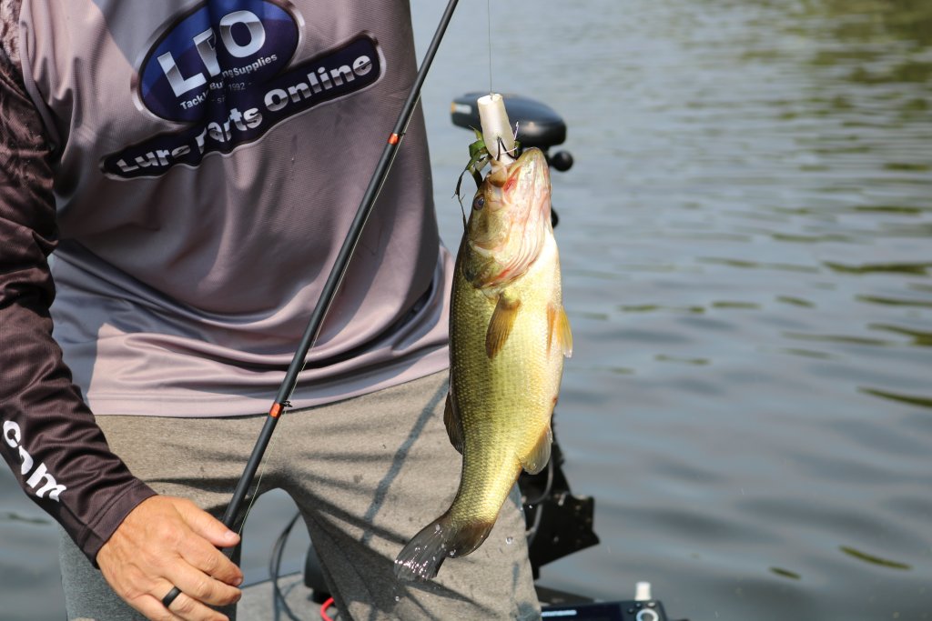 Natural Wonders Of The La Crosse Region