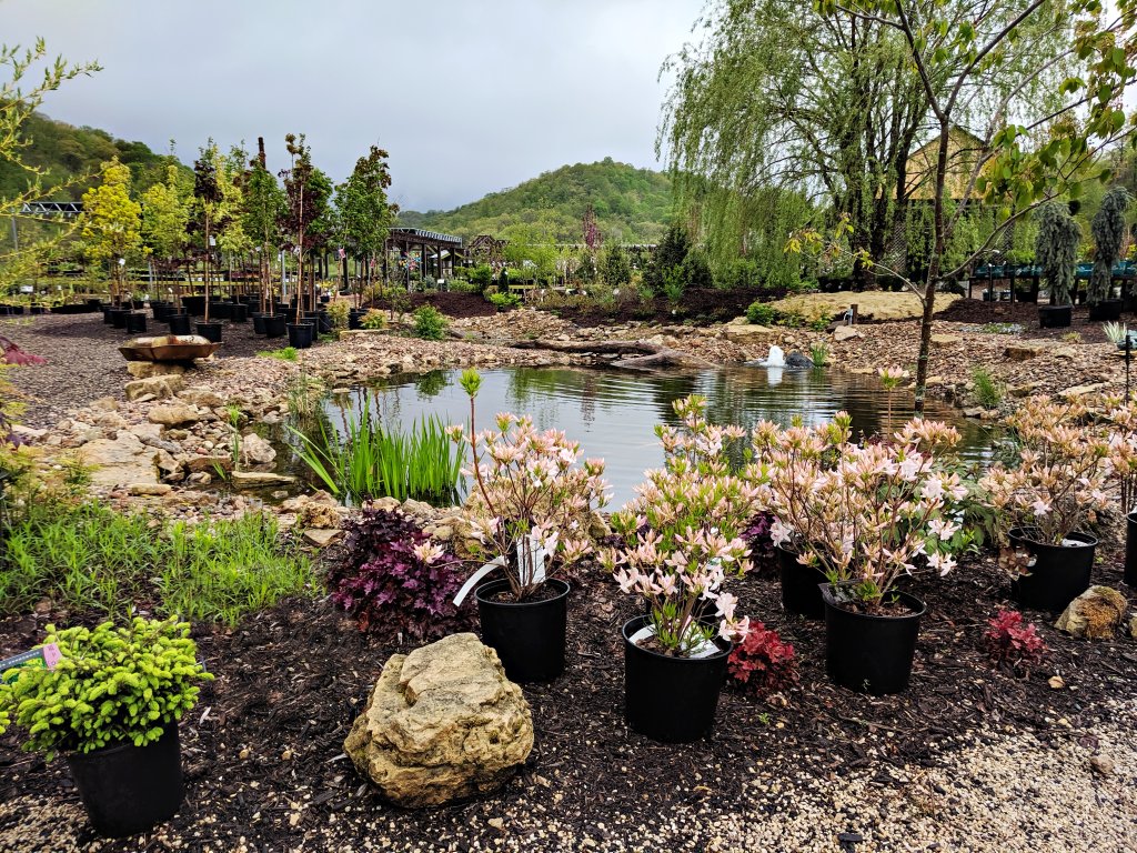 Pond 2 1