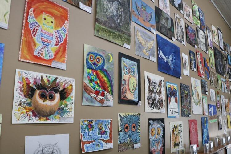 painting-owl-center-family-friendly