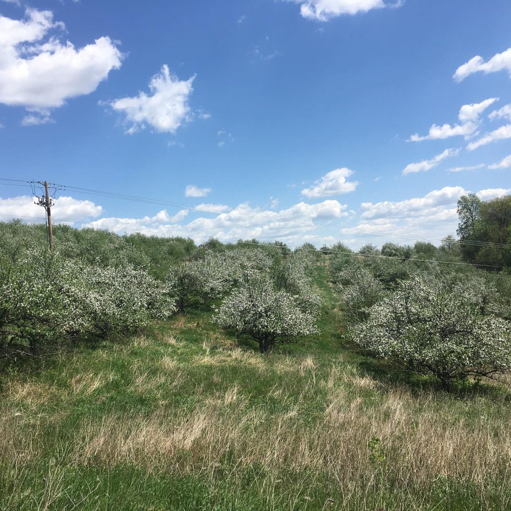 Natural Wonders Of The La Crosse Region