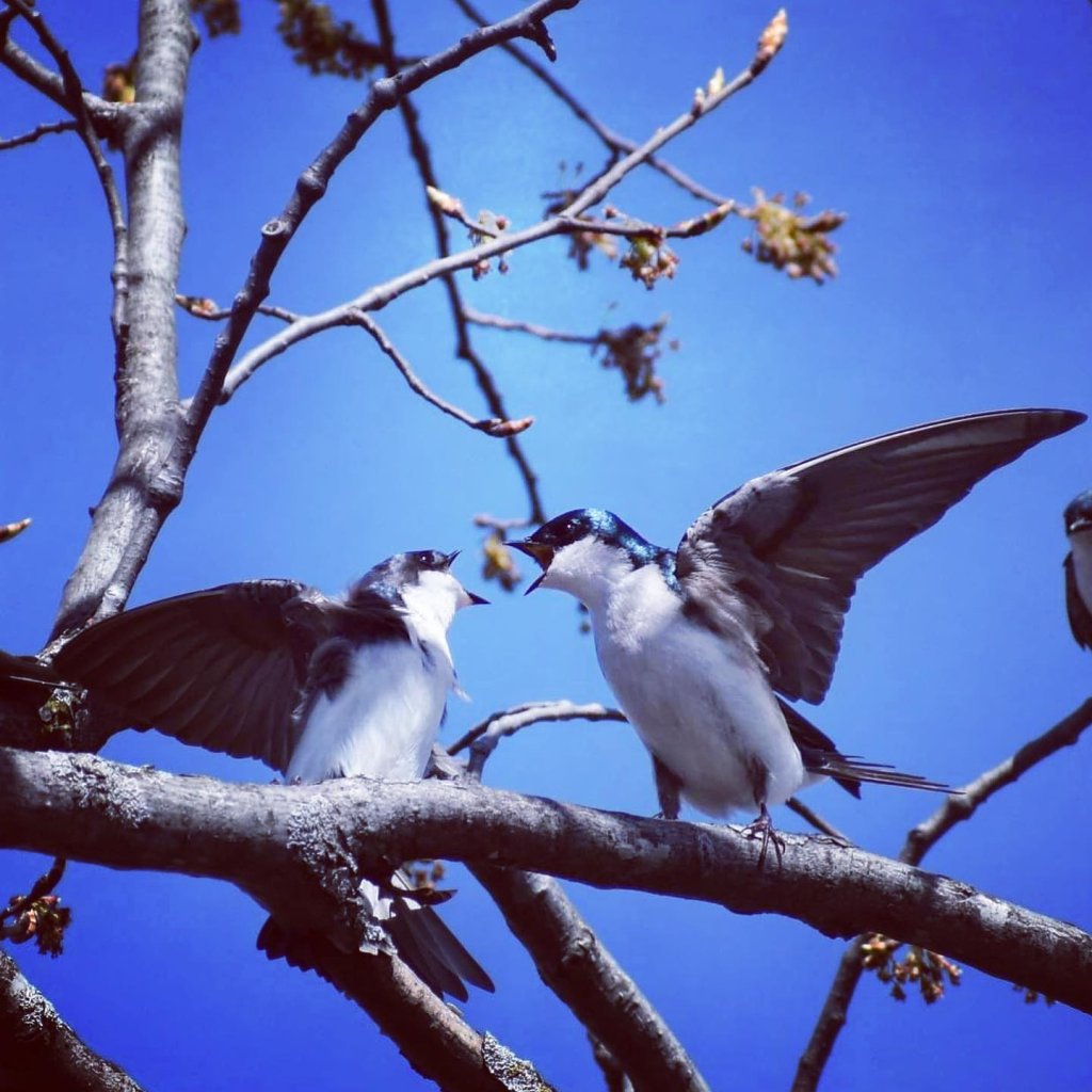 Natural Wonders Of The La Crosse Region