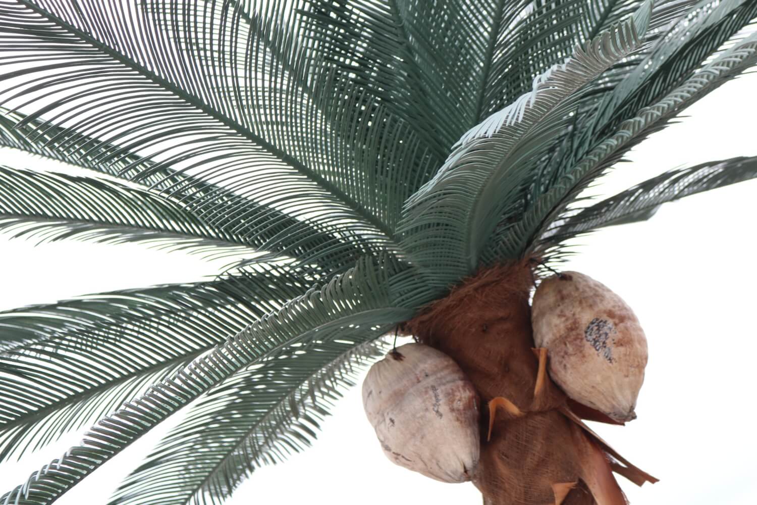 Mirage Sports Bar & Grill ExploreLaCrosse