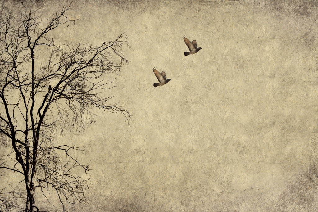 Monthly Grief Group