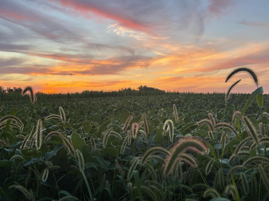 driftless weaver Instagram 3381 ig 17854117628804989