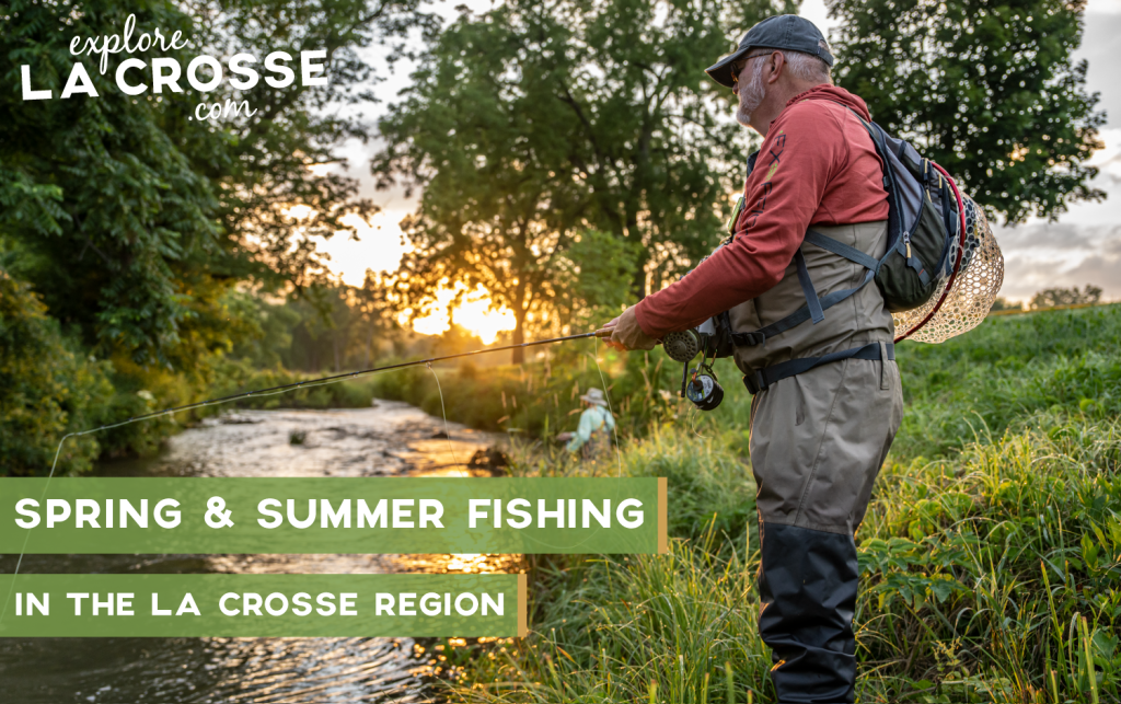 springsummerfishingblog