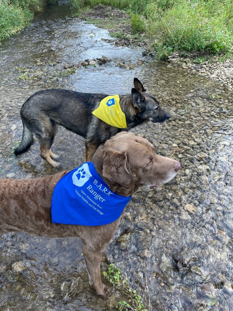 FinnAndVBarkRanger2