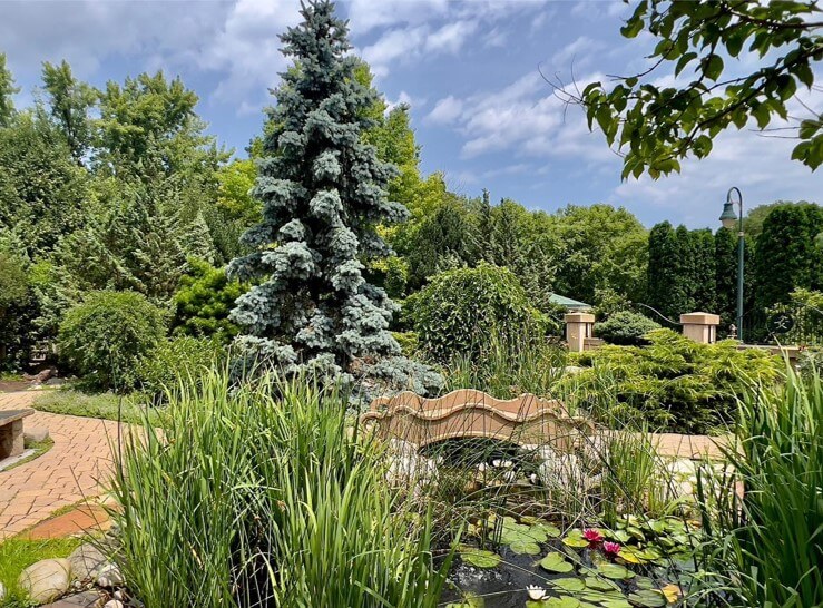 garden