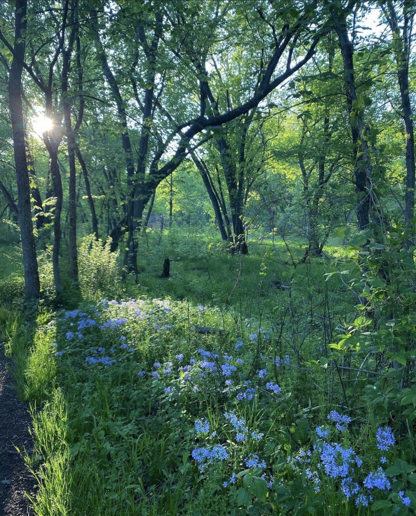 Visit These Epic & Lush Gardens In The La Crosse Region 7 image1 29