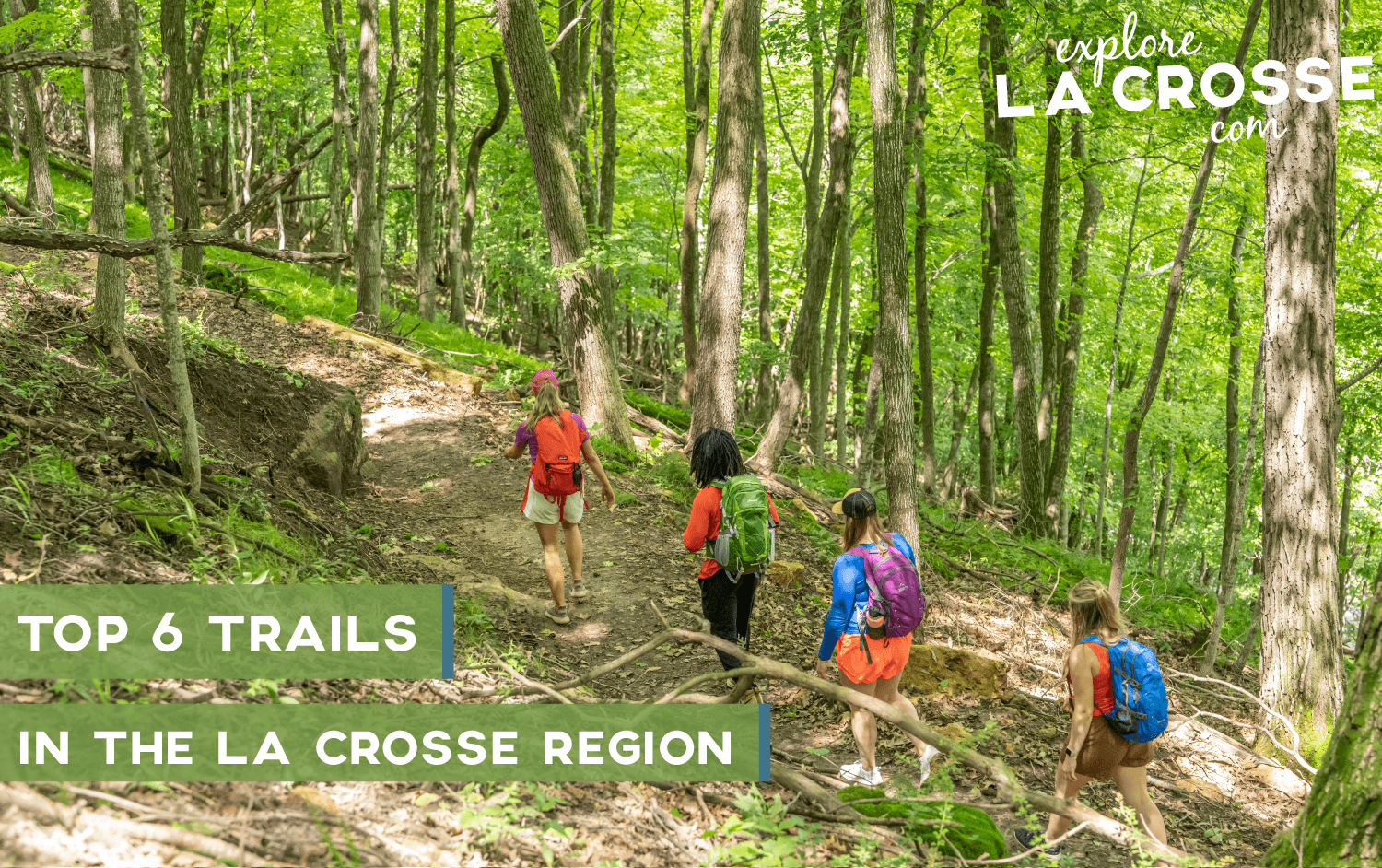 Top 6 Trails in the La Crosse Region
