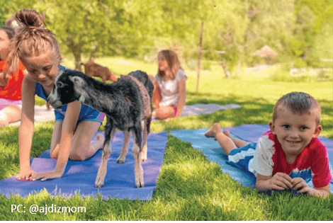goat-yoga-kid-friendly-get-your-hands-dirty