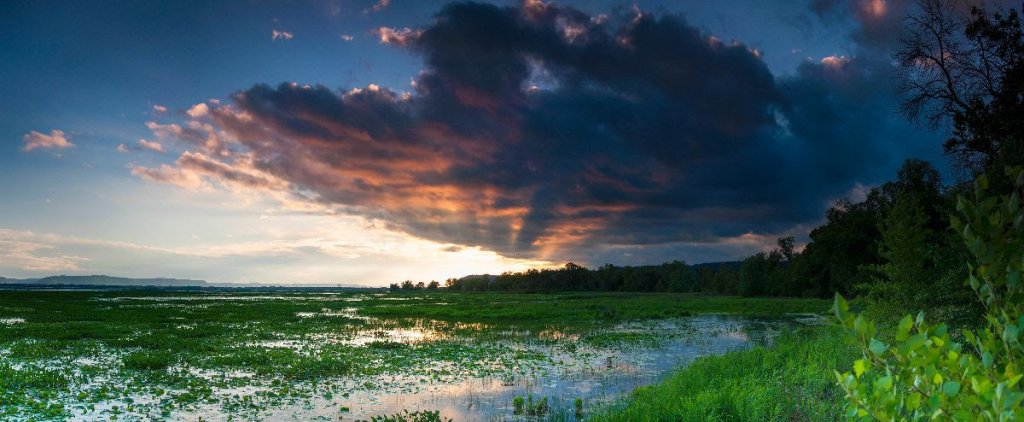 The Driftless