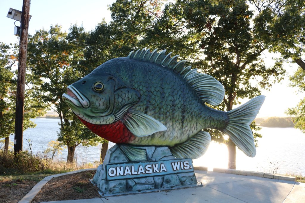 A large sunfish statue at Lake Onalaska