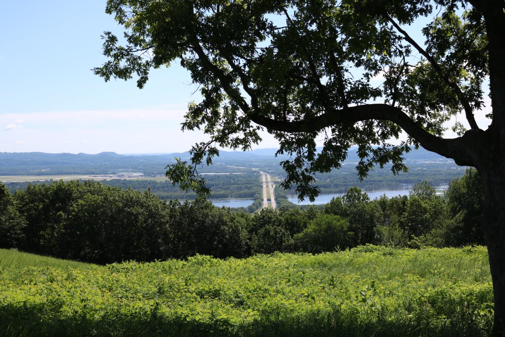 APPLE BLOSSOM SCENIC DRIVE NEW