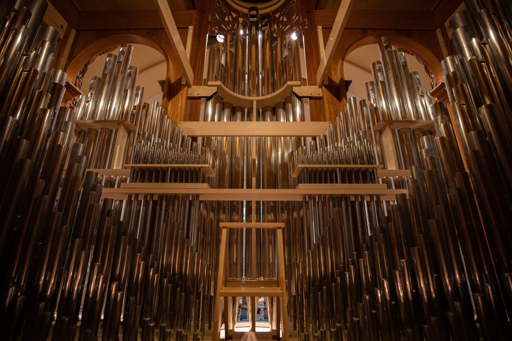 Organ Photos for Donor 3.3.23 43