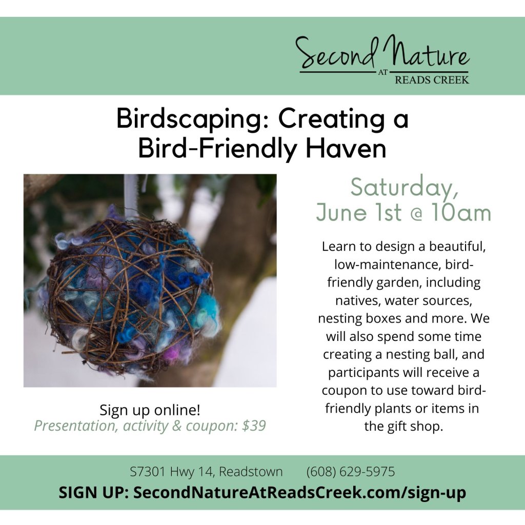 EVENT Birdscaping 2024