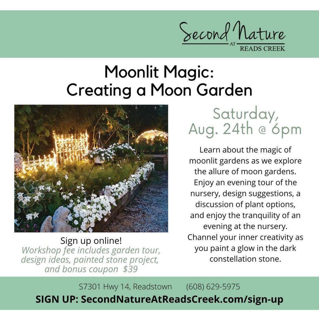 EVENT Moonlight 2024