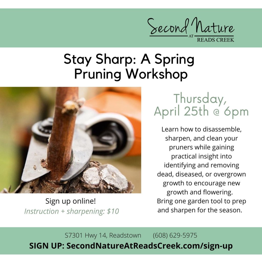 EVENT PruningWorkshop 2024
