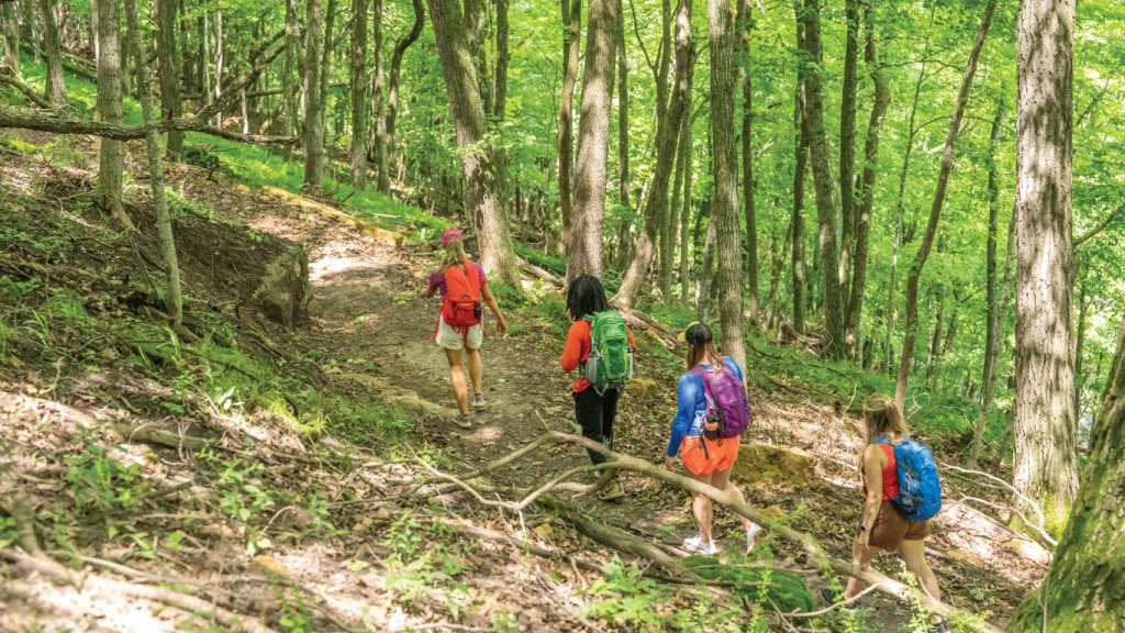 a group of people hiking along a trail in colorful clothing