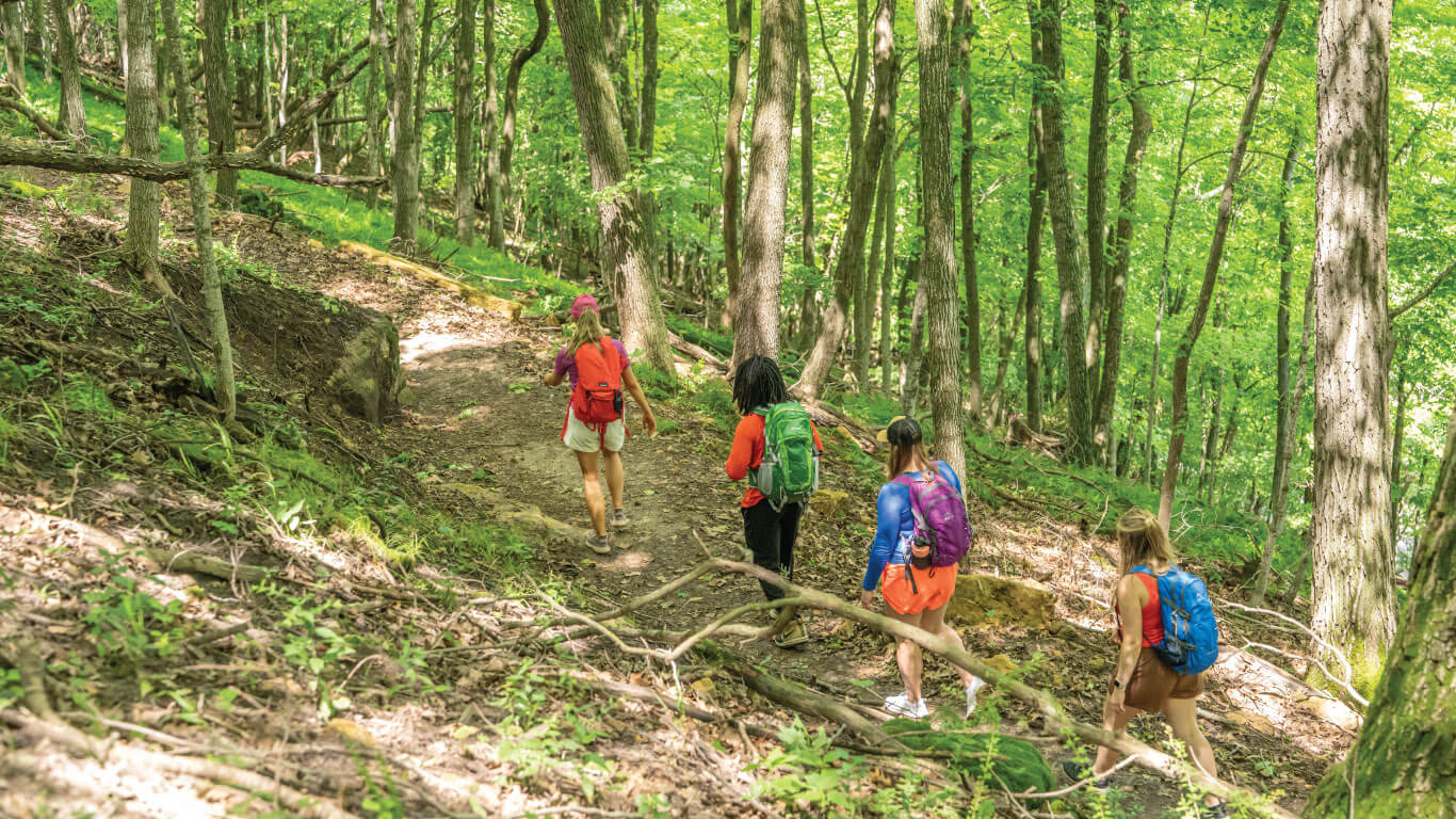 Hiking in the La Crosse Region 2 a group of people hiking along a trail in colorful clothing