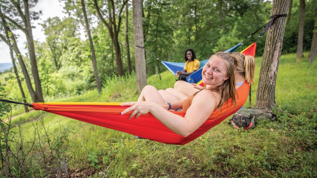 people in hammocks in the forest