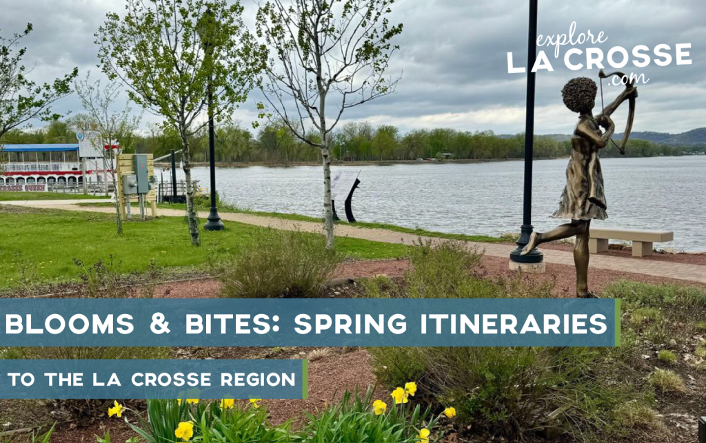 springitinerariesblog FINAL