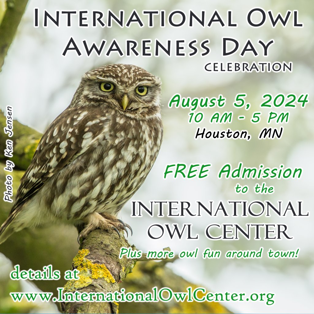 2024 owl awareness day post