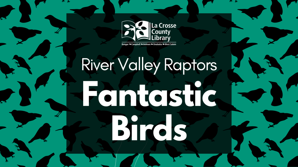 Fantastic birds FB event1