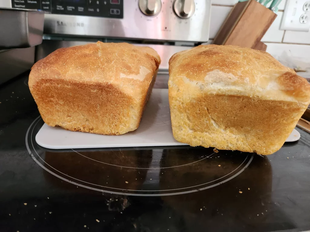 Sour dough bread