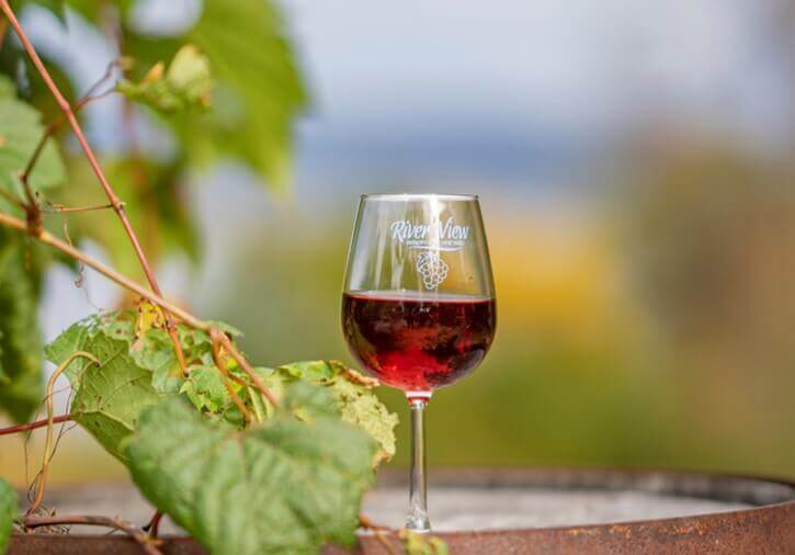 image-singular-wine-glass-beside-green-leaf
