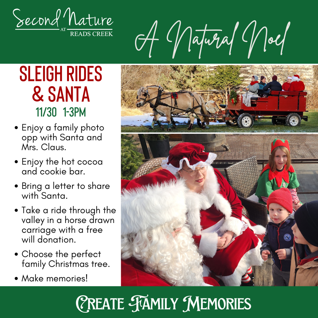 Horses SantaVisit2024