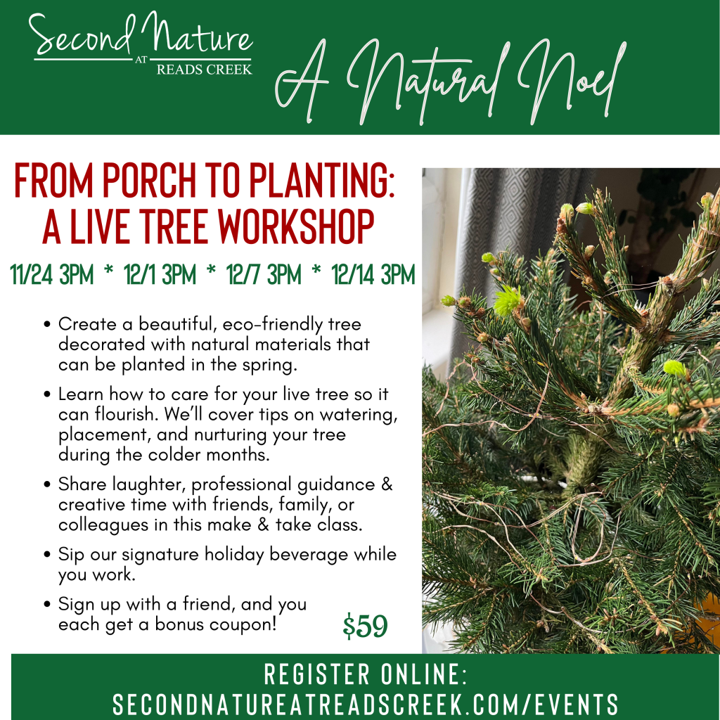 LiveTreeWorkshop20242