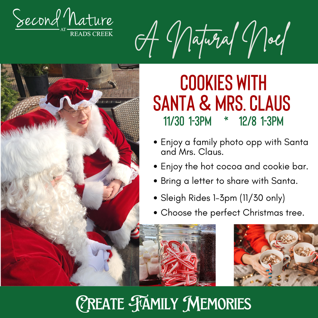 SantaOnlyVisit2024