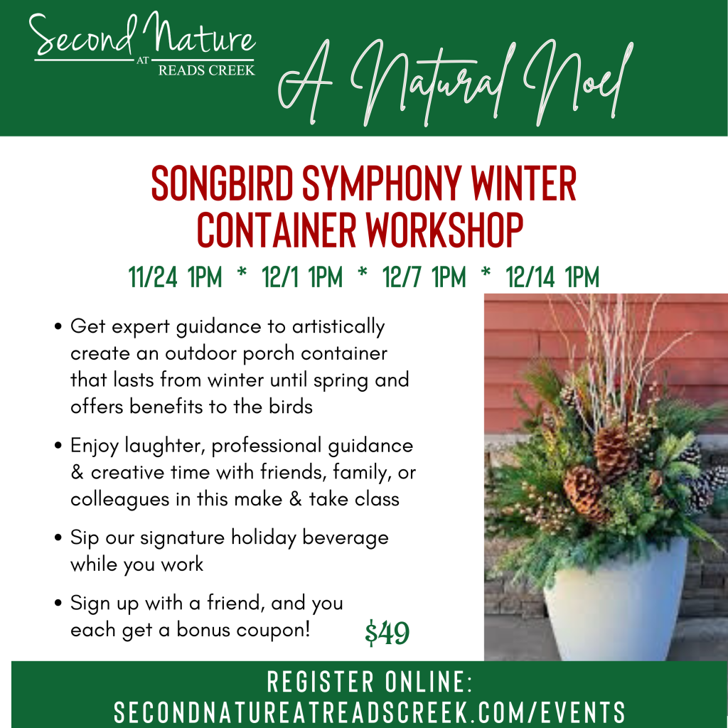 SongbirdSymphonyWorkshop20241