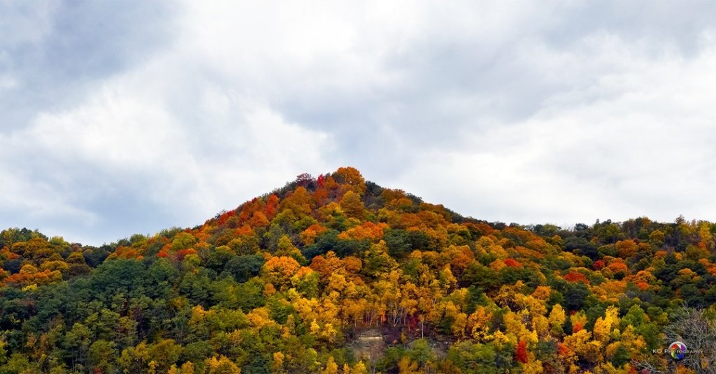 fall colors in the la crosse region