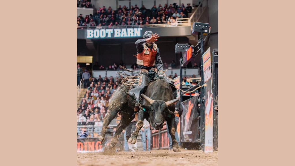 rodeo