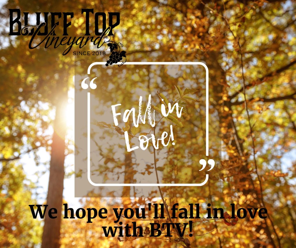 Fall in Love