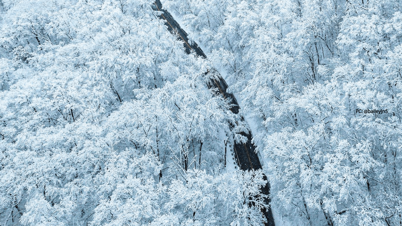 winter road trip
