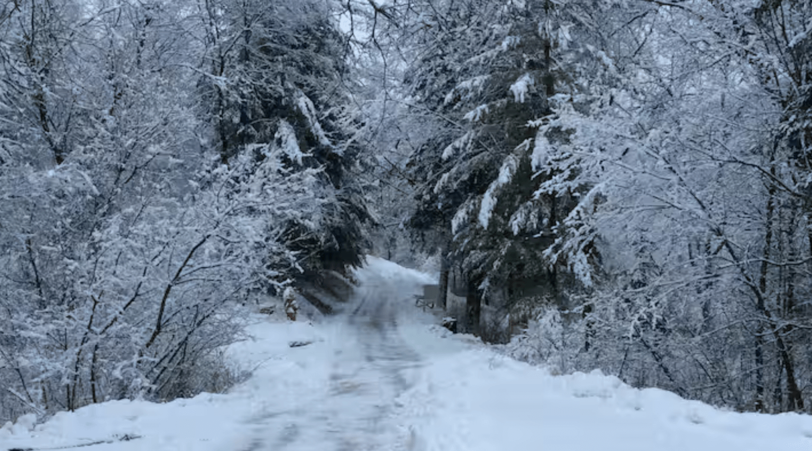 Winter Wonderland at Norskedalen | Coon Valley